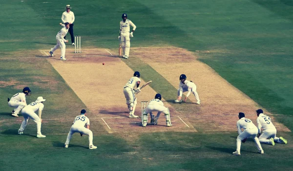 Players in Cricket